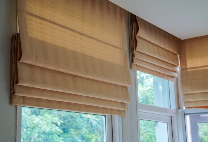 Roman Shade Cleaning in Boston, MA